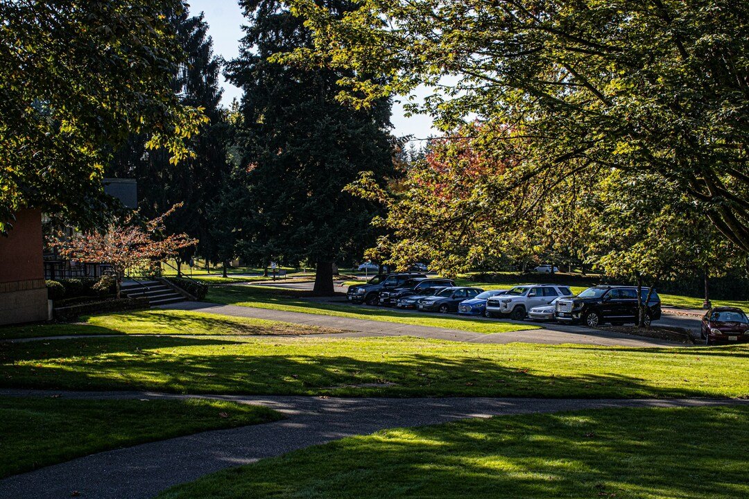 cars parked near a college campus