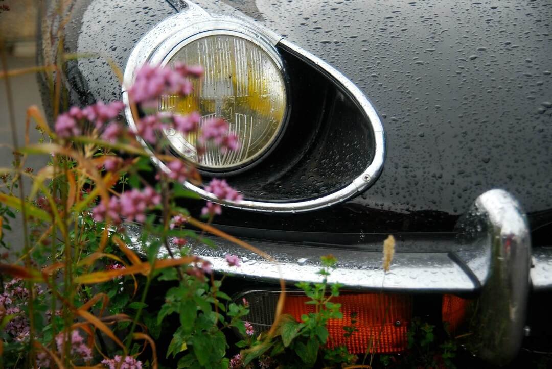 a car bumper after rain