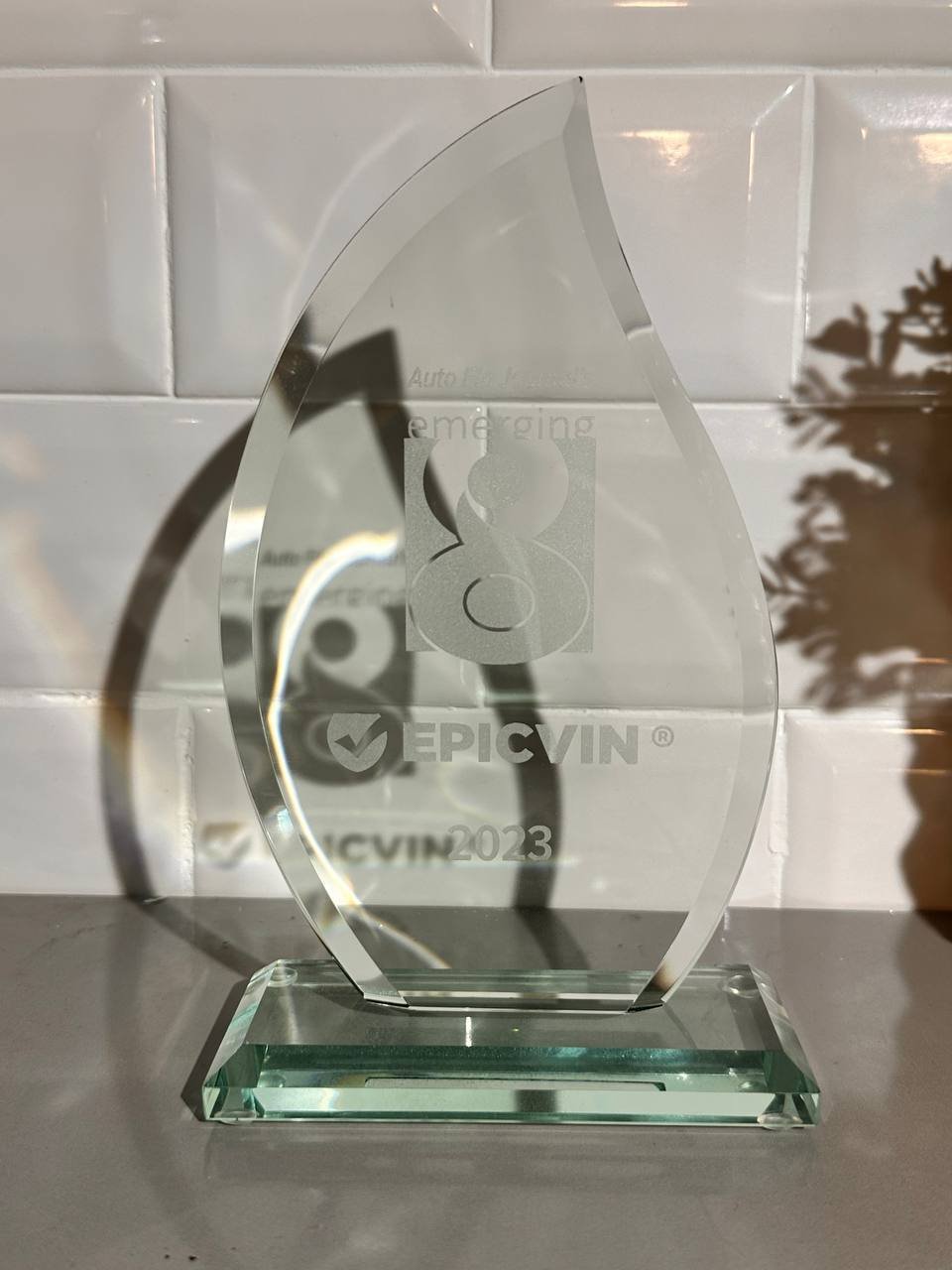 EpicVIN Emerging 8 award trophy 2023